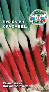 Лук батун Красавец красный 0,3гр Седек