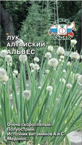 Лук Альвес алтайский 0,3г Седек