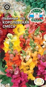 Львиный зев Королевская Смесь (высокий) Седек