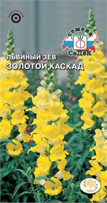 Львиный зев Золотой Каскад (высокий, желтый) Седек