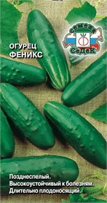 Огурец Феникс Седек