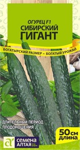Огурец Сибирский Гигант F1/Сем Алт/цп 10 шт. СЕРИЯ СИБИРСКИЕ ГИГАНТЫ!
