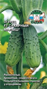 Огурец Сахарный малыш F1 0,2г Седек