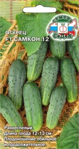 Огурец Самкон 12 F1 Седек