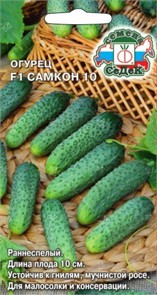 Огурец Самкон 10 F1 Седек