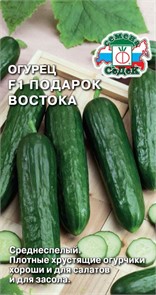 Огурец Подарок востока F1 0,2г Седек