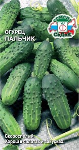 Огурец Пальчик з/г Седек