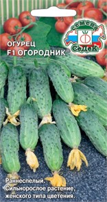 Огурец Огородник F1 0,3г Седек