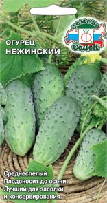 Огурец Нежинский Седек