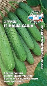 Огурец Наша Саша F1 0.2г Седек