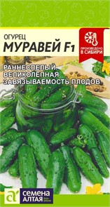 Огурец Муравей F1/Сем Алт/цп 5 шт