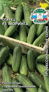 Огурец Моринга F1 0,2г Седек