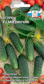 Огурец Мизинчик F1 0,3г Седек
