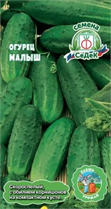 Огурец Малыш о/г Седек
