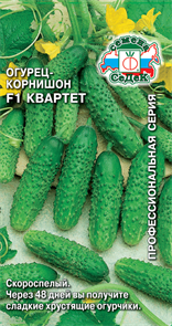 Огурец Квартет F1 Седек