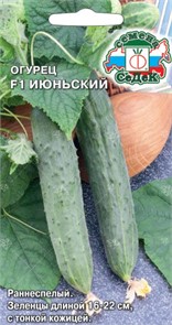 Огурец Июньский F1 0,2г Седек