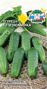 Огурец Изюминка F1 0,2г Седек