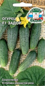 Огурец Задор F1 о/г Седек
