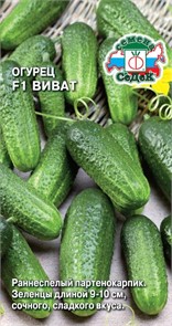 Огурец Виват F1 з/г Седек