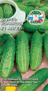 Огурец Ангел F1 0,3г Седек