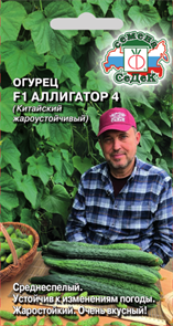 Огурец Аллигатор 4 F1 Седек