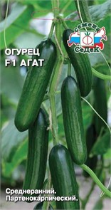 Огурец Агат F1 Седек