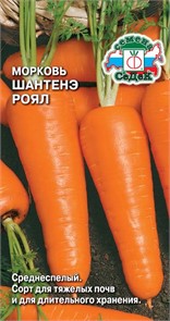 Морковь Шантенэ 2461/Сем Алт/цп 2 гр.
