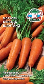 Морковь Курода Шантанэ Седек
