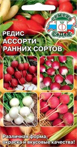 Редис Ассорти ран. сорт. 3г Седек