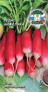 Редис Анжелика Седек