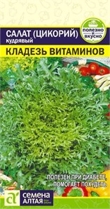 Салат Эндивий "Кладезь витаминов" 0,5гр. семена Алтая