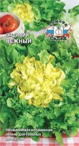 Салат Нежный (эндивий) Седек