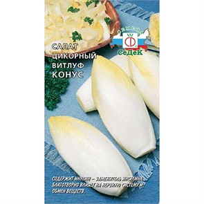 Салат Конус Витлуф (цикорный) Седек