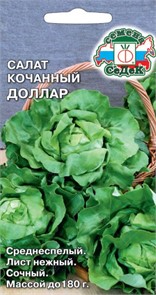Салат Доллар (кочанный) Седек