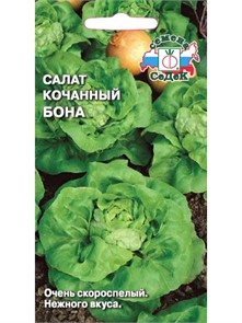 Салат Бона (кочанный) Седек