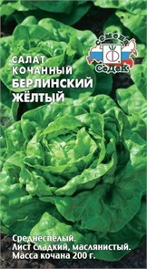 Салат Берлинский Желтый (кочанный) Седек