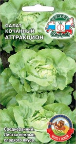 Салат Аттракцион (кочанный) Седек
