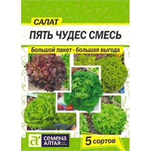 Зелень Салат Пять Чудес Смесь/Сем Алт/цп БОЛЬШОЙ ПАКЕТ!
