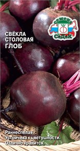 Свёкла Глоб F1 (столовая) Седек