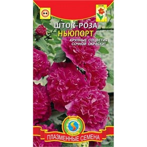 Шток-роза Ньюпорт розовая(Плазм)двулетн,180см