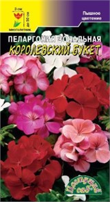 Пеларгония Королевский букет ЦветСад Ц