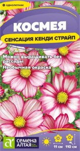 Космея Сенсация 0,5гр Семена Алтая