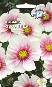 Космея Озорница 0,5гр Седек