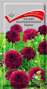 Космея Махровая кнопка бордовая 0,1гр Поиск