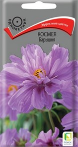 Космея Барышня 0,1гр Пц