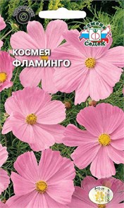Космея Фламинго (бипиннатус, нежно-розовая) Седек