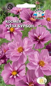 Космея Роза Бурбон (бипиннатус, махровая, нежно-розовая) Седек