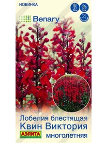 Лобелия Квин Виктория многолетняя 7шт Аэлита