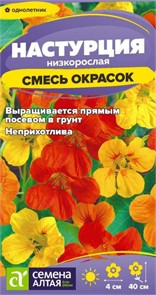 Цветы Настурция Смесь Окрасок низкоросл