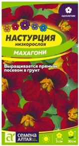 Цветы Настурция Махагони низкоросл./Сем Алт/цп 0,5 гр